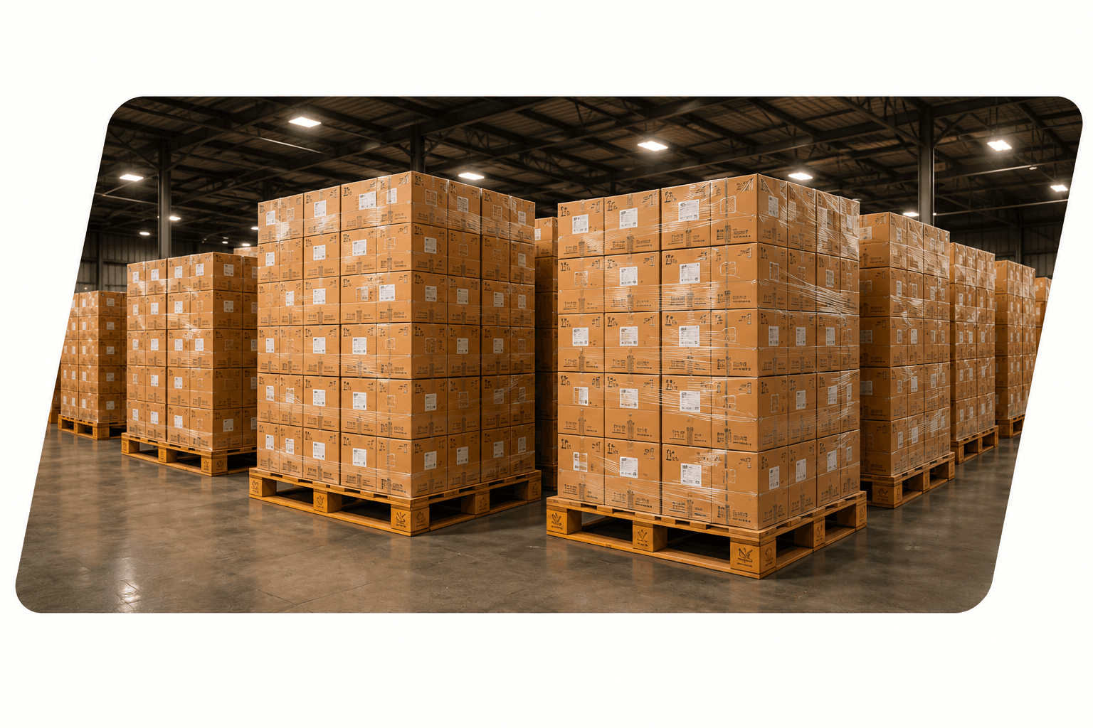 Palletized export cartons in warehouse